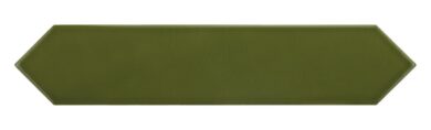 Arrow Green Kelp 5x25  (E25827)